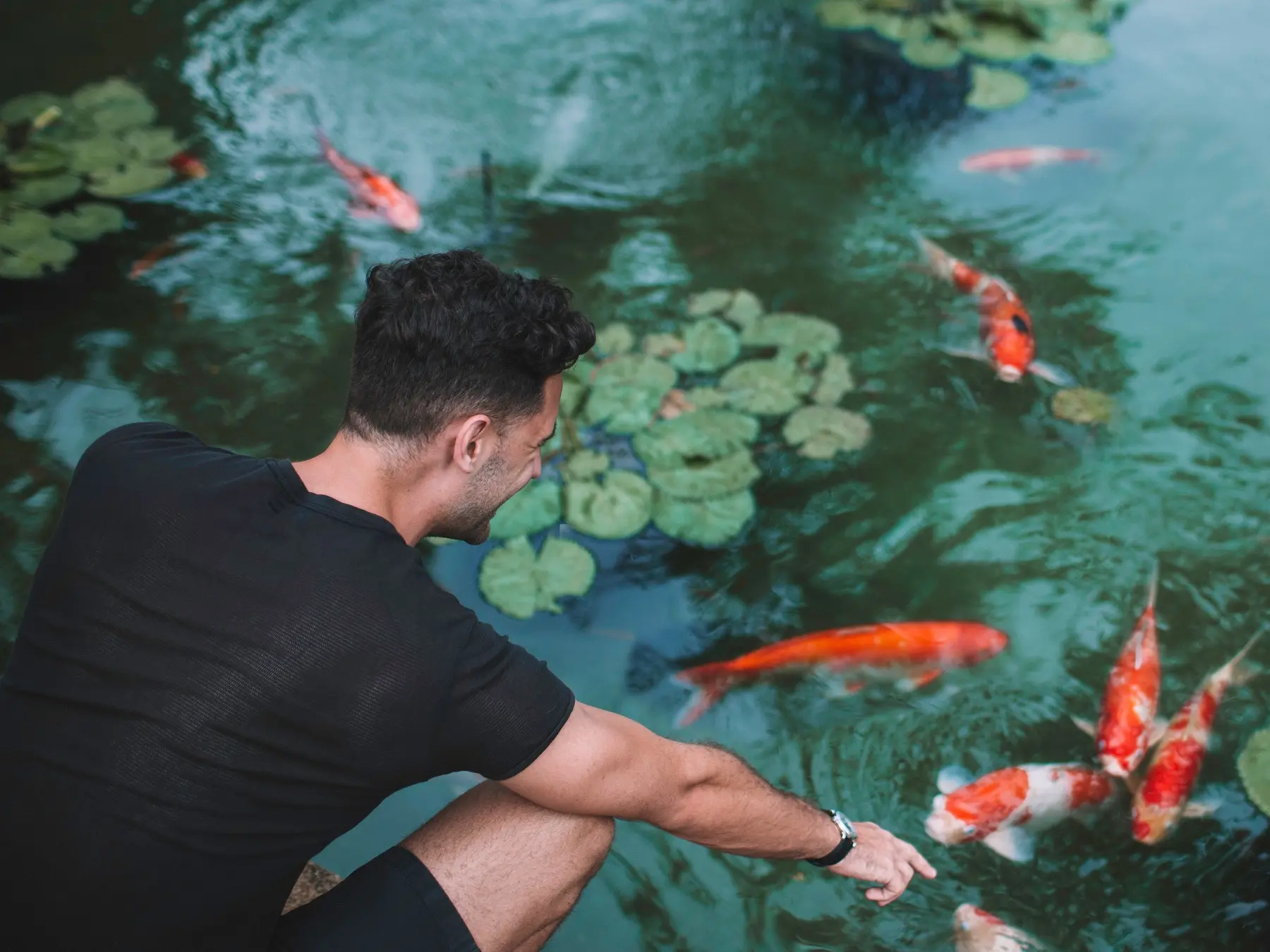 scottkoi.webp
