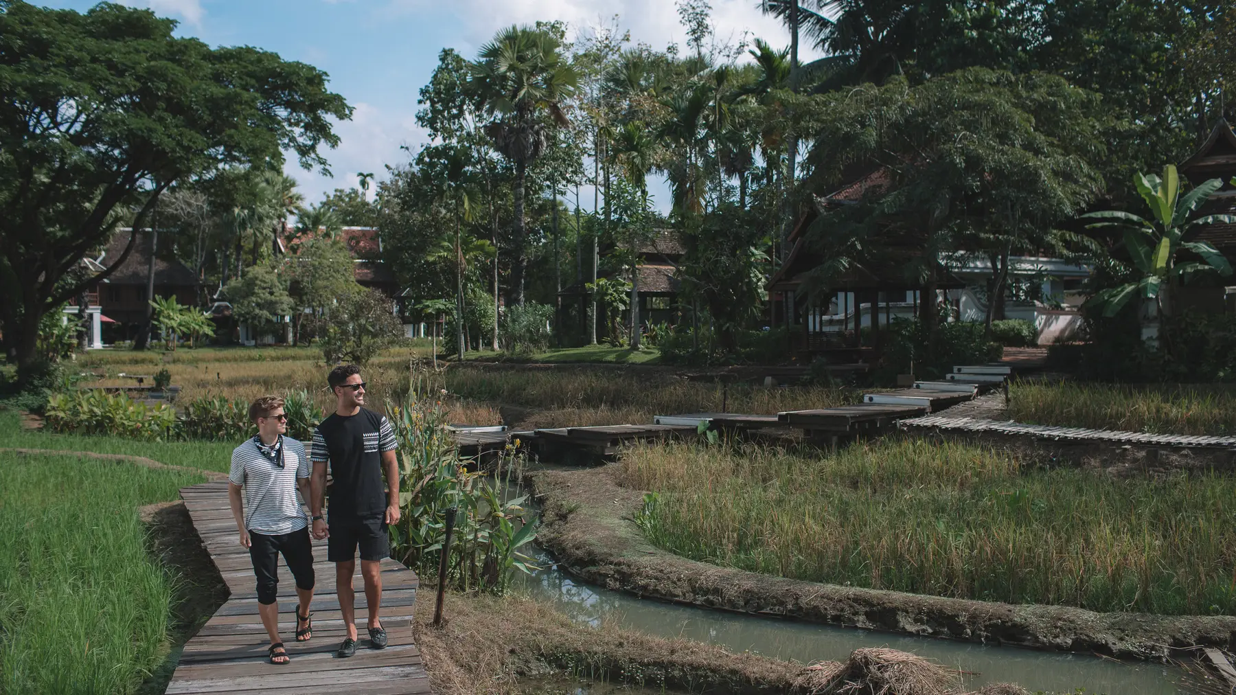 gay wedding, wedding, honeymoon, gay, lgbt, gay marriage, travel, tourism, tourist, gay travel, food, hotels, hotel, lgbt, chiang mai, thailand, anantara, phuket, bangkok, luxry, luxury hotel, five star hotel, elephant rescue, elephants, elephants t…