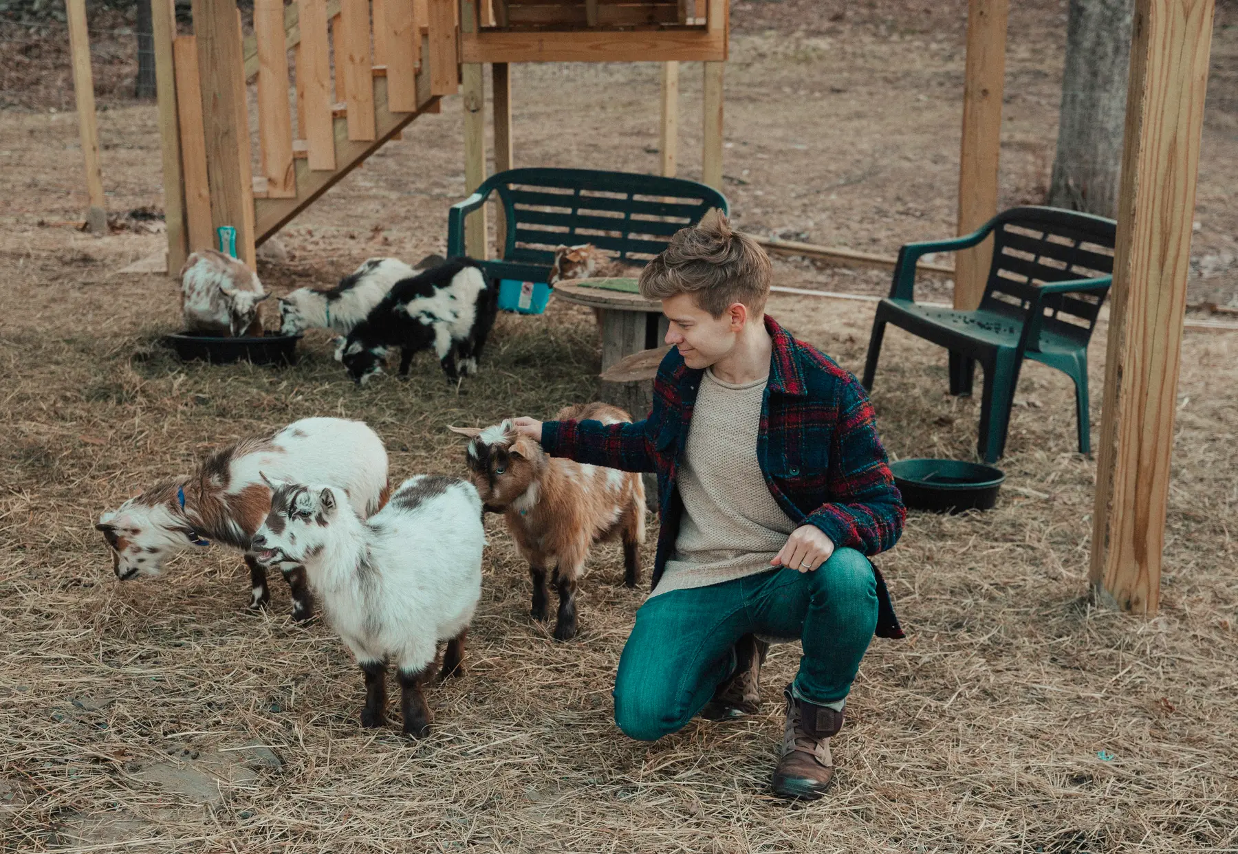 goatsakb.webp