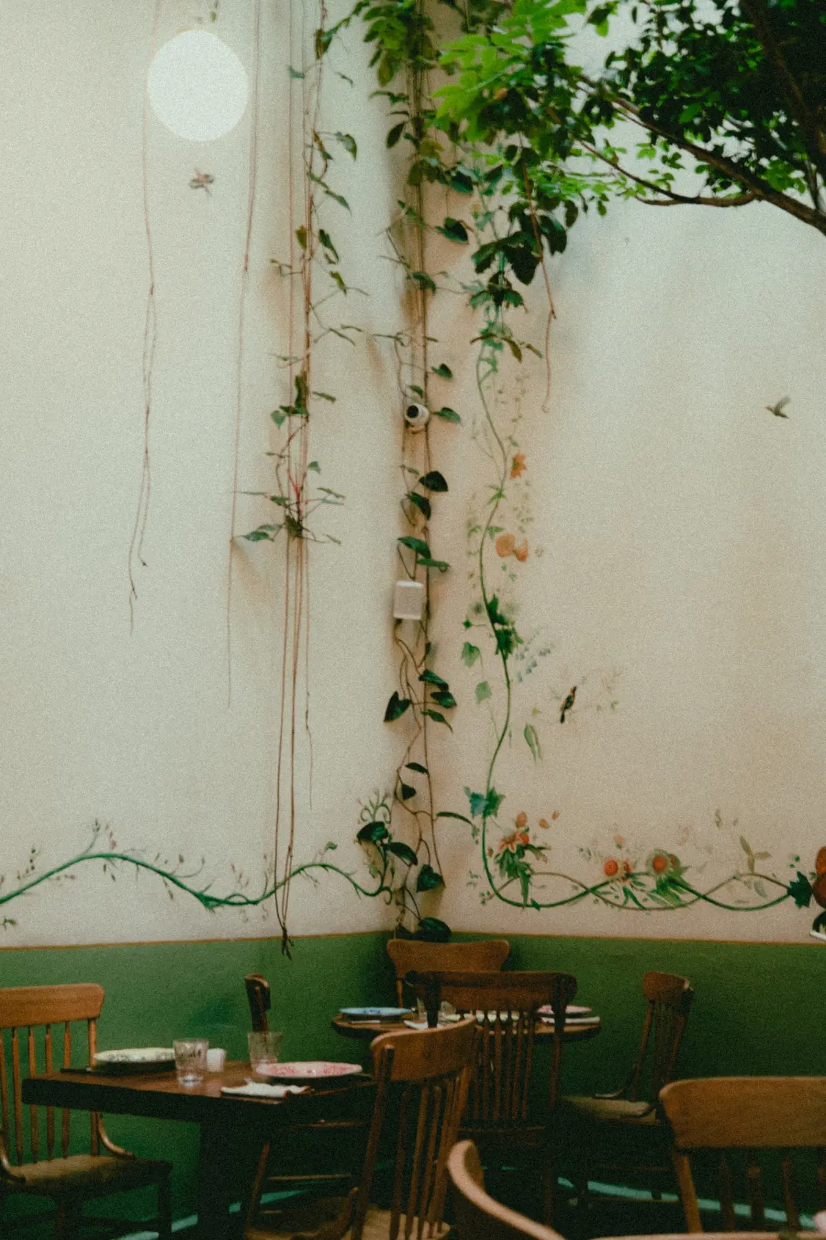 rosetta restaurant mexico city