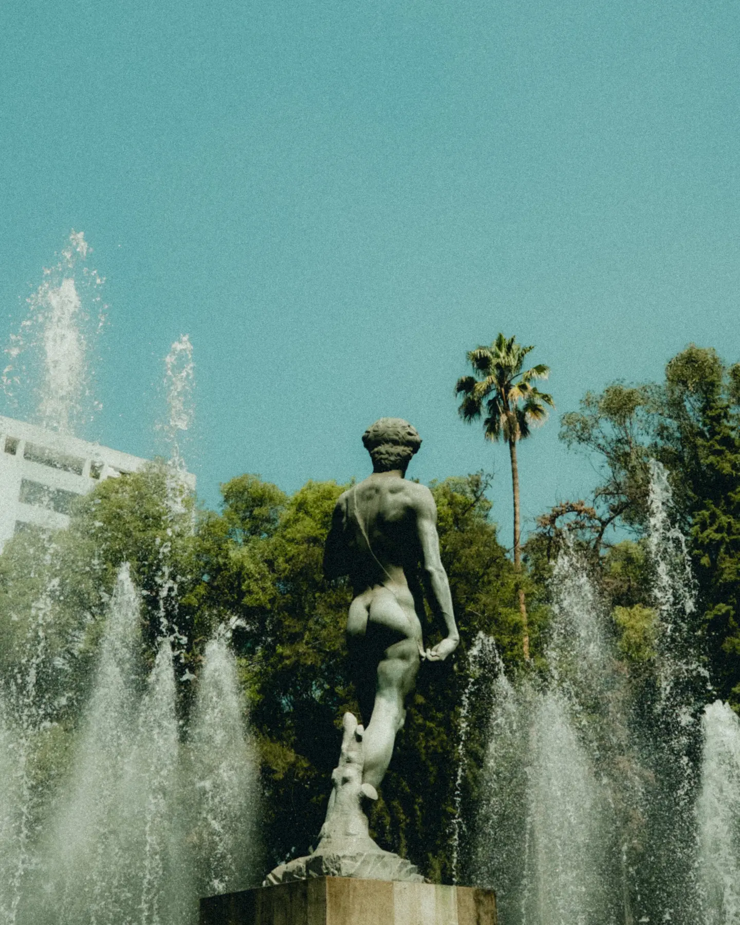 plaza rio de janeiro cdmx