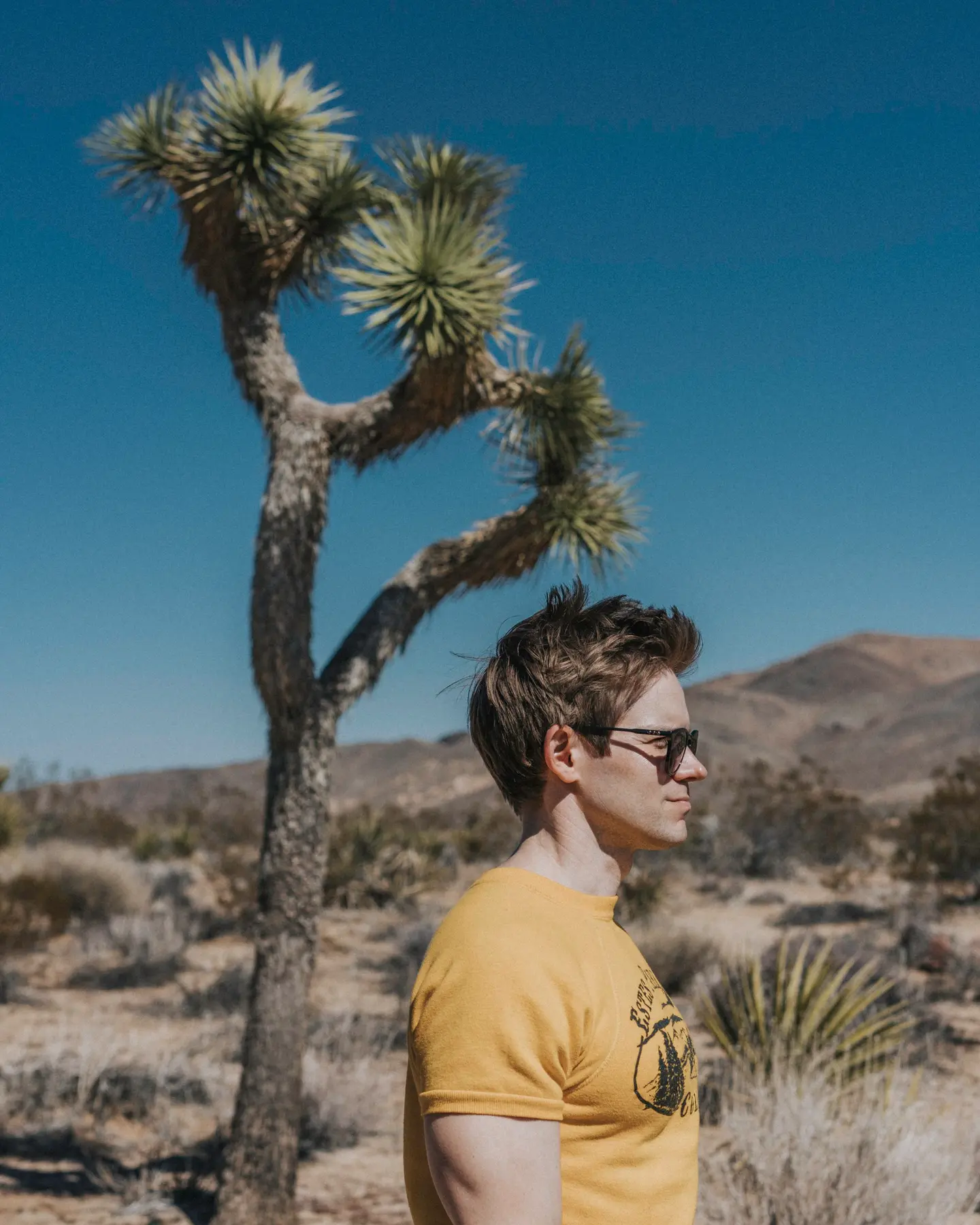 joshua Tree National Park day trip hikes photography Things to do Instagram spots photographers guide Day trip Los Angeles Jumbo Rocks Skull Rock Arch Cholla Cactus Garden Key's View