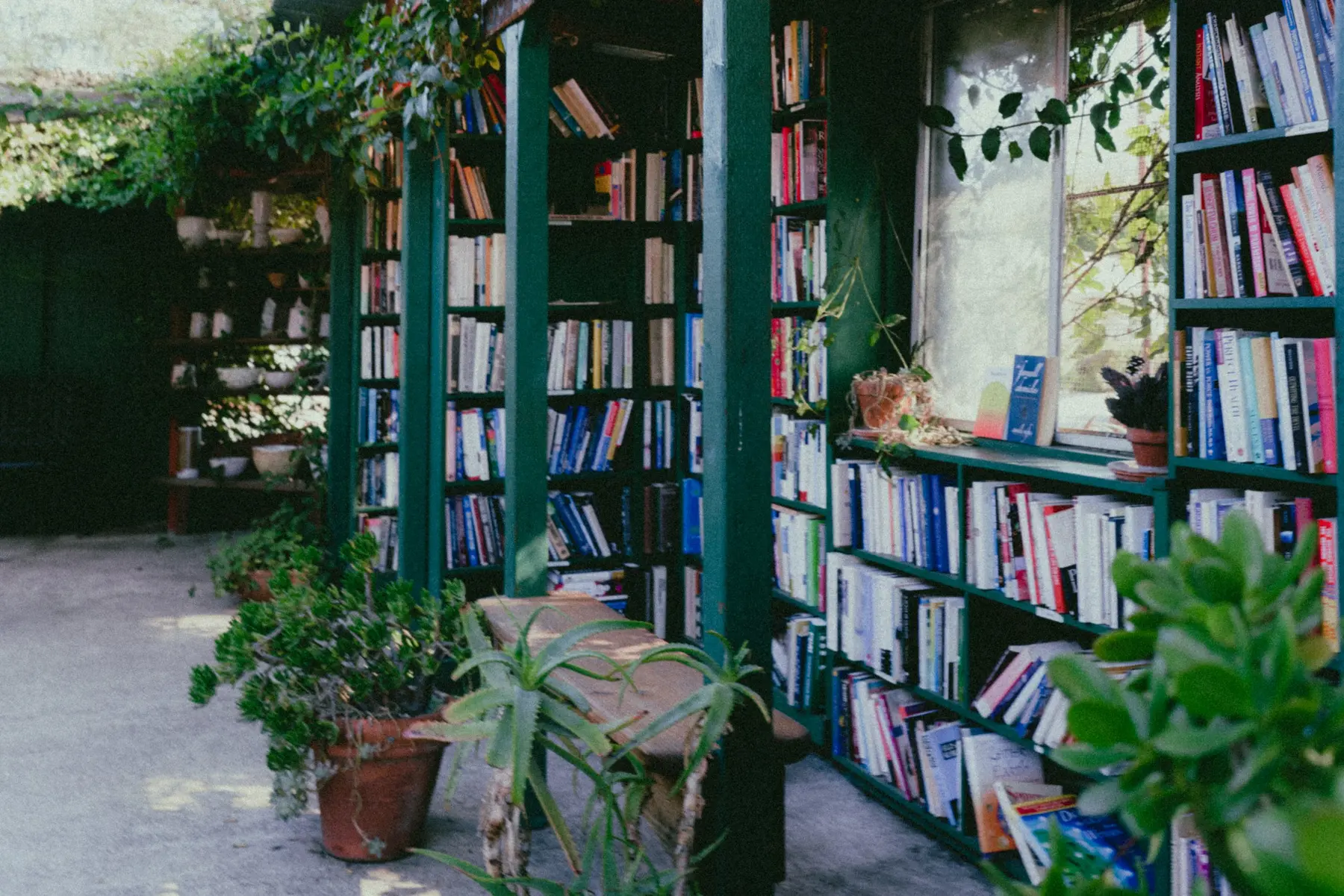 Ojai day trip Ojai solo travel Ojai guide Los Angeles day trip Shangri-La of California Ojai Olive Oil Company Ojai Arcade Fig Curated Living Treasures of Ojai Summer Camp Hip Vegan Cafe Bart's Books Ojai Valley Land Conservancy Pink Moment Topa Topa
