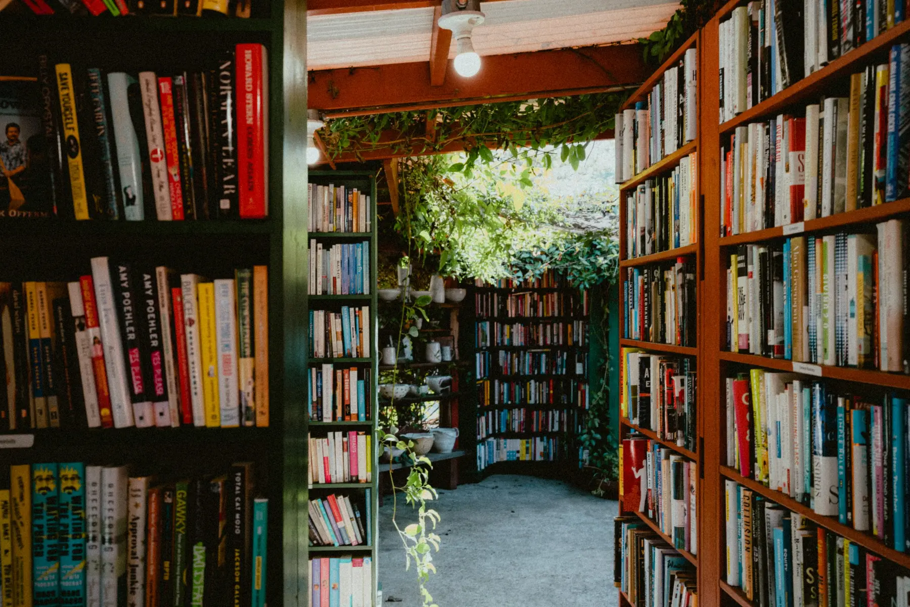 Ojai day trip Ojai solo travel Ojai guide Los Angeles day trip Shangri-La of California Ojai Olive Oil Company Ojai Arcade Fig Curated Living Treasures of Ojai Summer Camp Hip Vegan Cafe Bart's Books Ojai Valley Land Conservancy Pink Moment Topa Topa