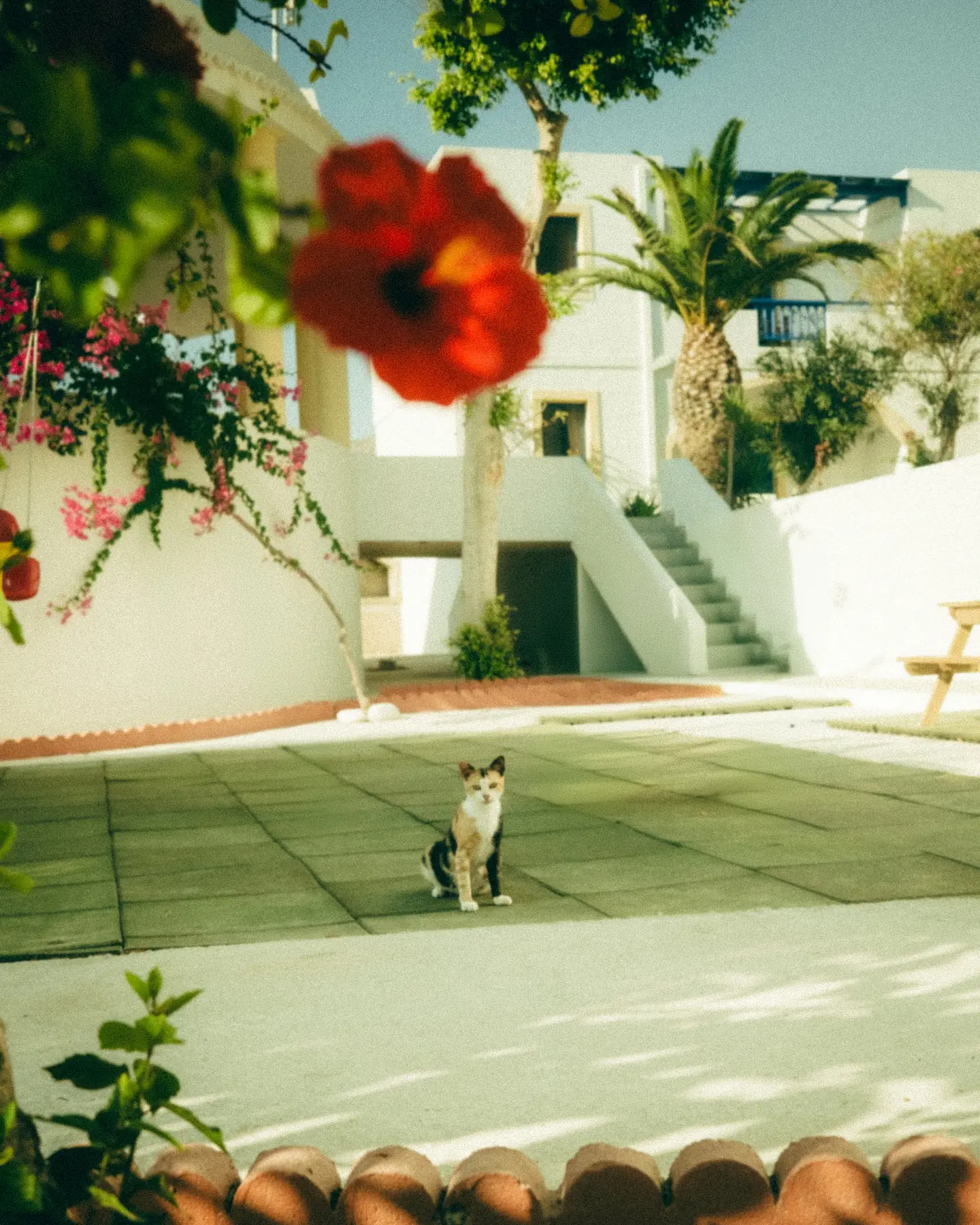 greece travel blog guide things to do secret hidden beaches island greek LGBTQ gay