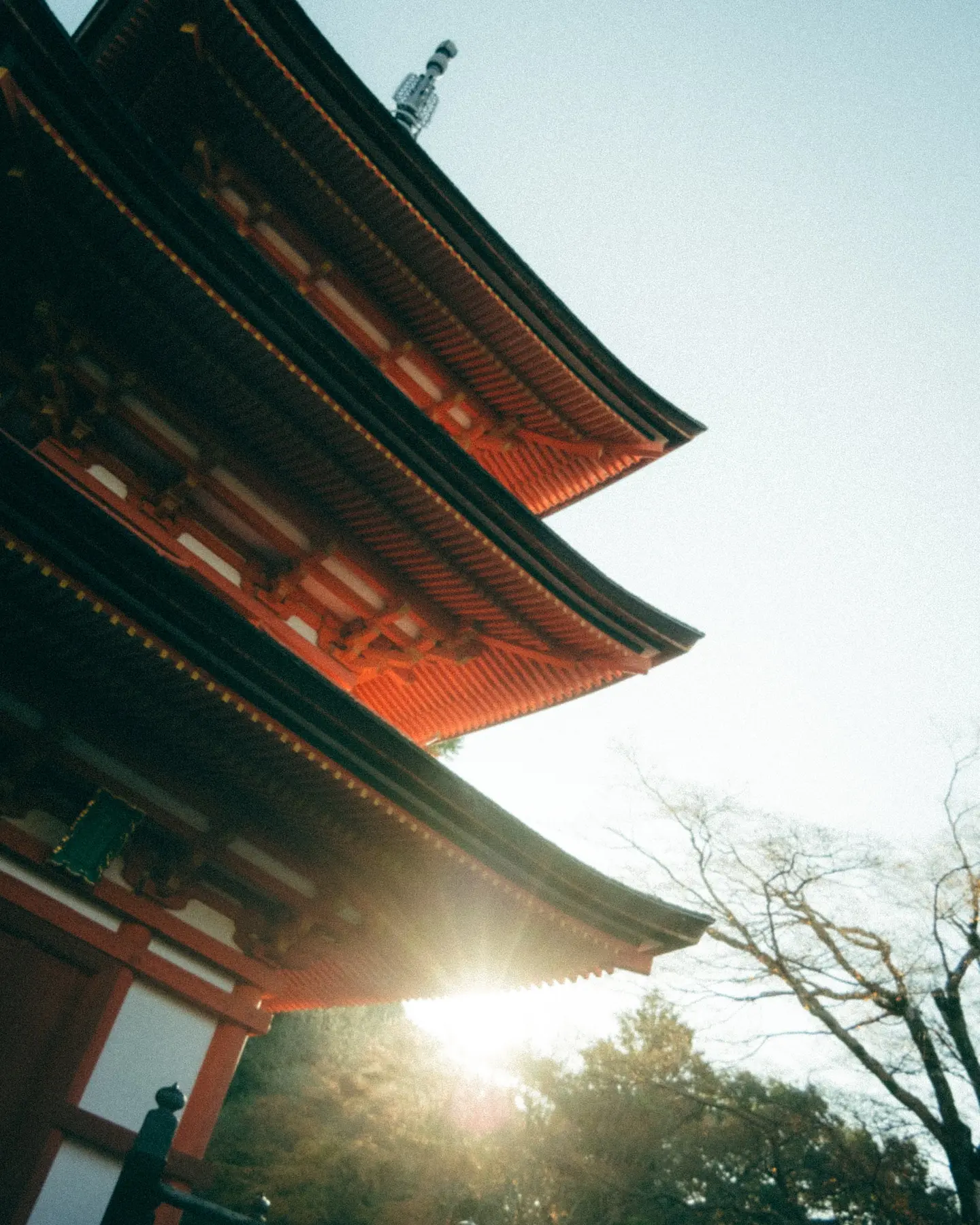 The Ultimate Japan Travel Itinerary: Tokyo & Kyoto in 9 Days travel photograph 5