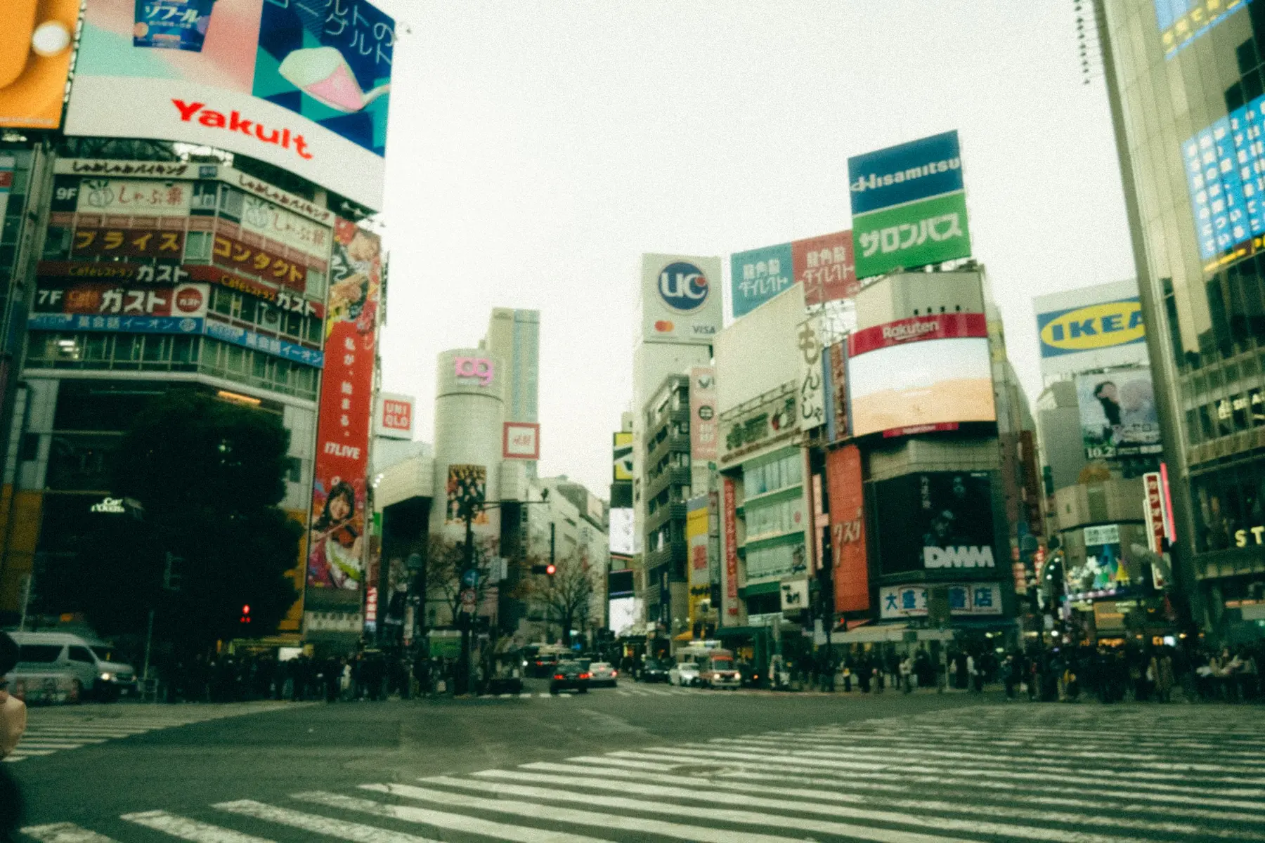 Day 3 (Tokyo: Tsukiji, Harajuku, Shibuya) travel photograph 7 from The Ultimate Japan Travel Itinerary: Tokyo & Kyoto in 9 Days