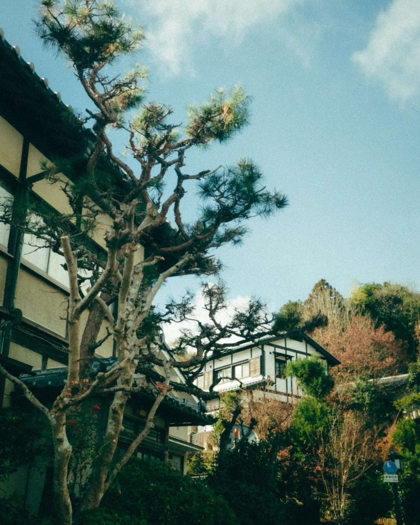 Day 6 (Kyoto: Arashiyama, Pontocho Alley) travel photograph 9 from The Ultimate Japan Travel Itinerary: Tokyo & Kyoto in 9 Days